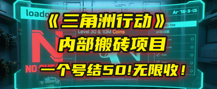 《三角洲行动》内部搬砖项目:打一个号,结50块,无限收!