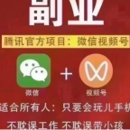 视频号高阶变现项目