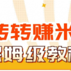 转转电商Ai全自动带货